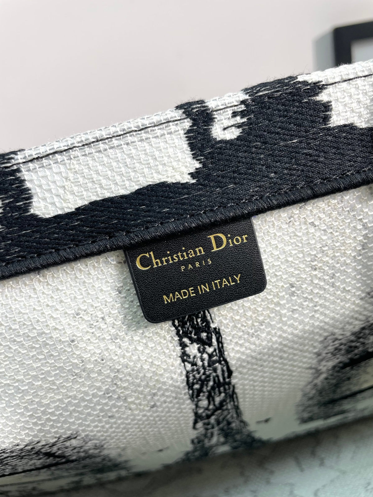 Christian Dior Medium Book Tote Bag with Black and White Plan de Paris Embroidery