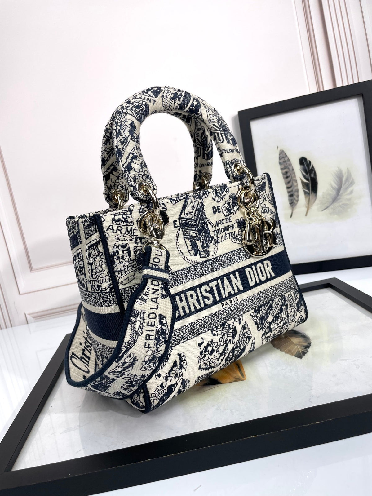Christian Dior Medium Lady D-Lite Bag - Blue Toile de Jouy Embroidered Canvas Handbag