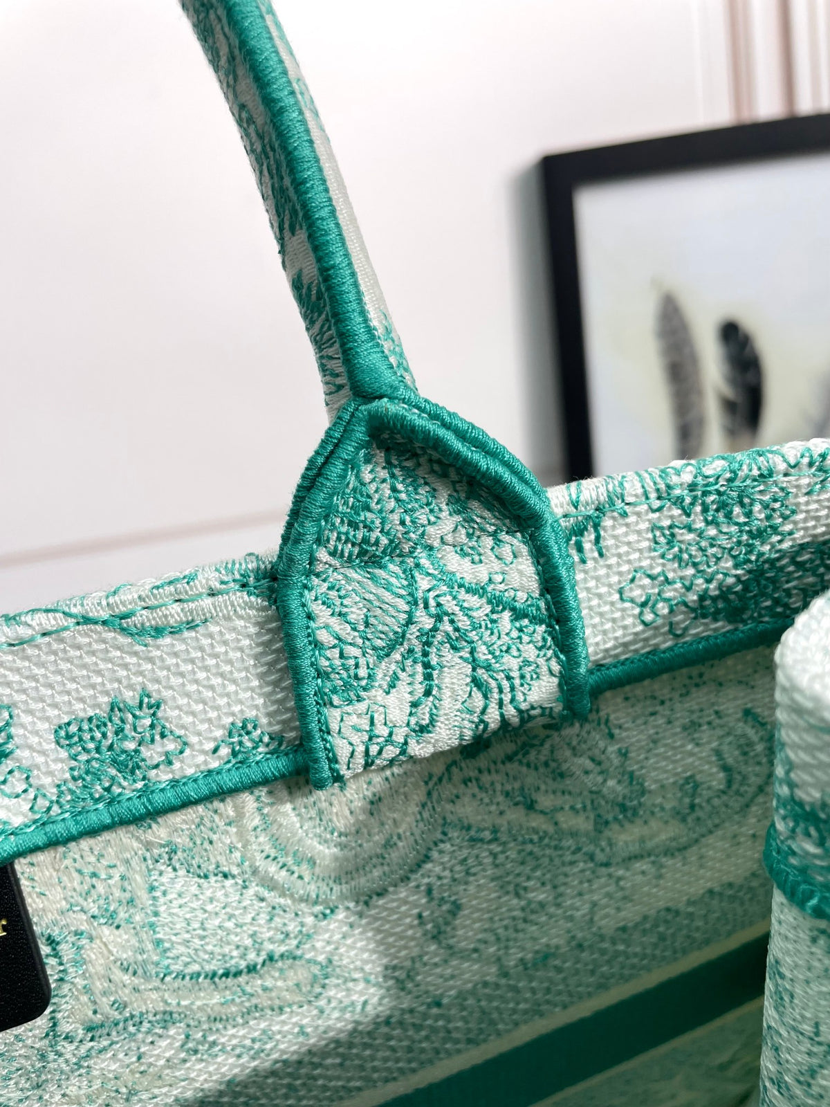 Christian Dior Medium Book Tote Green Toile de Jouy Embroidery