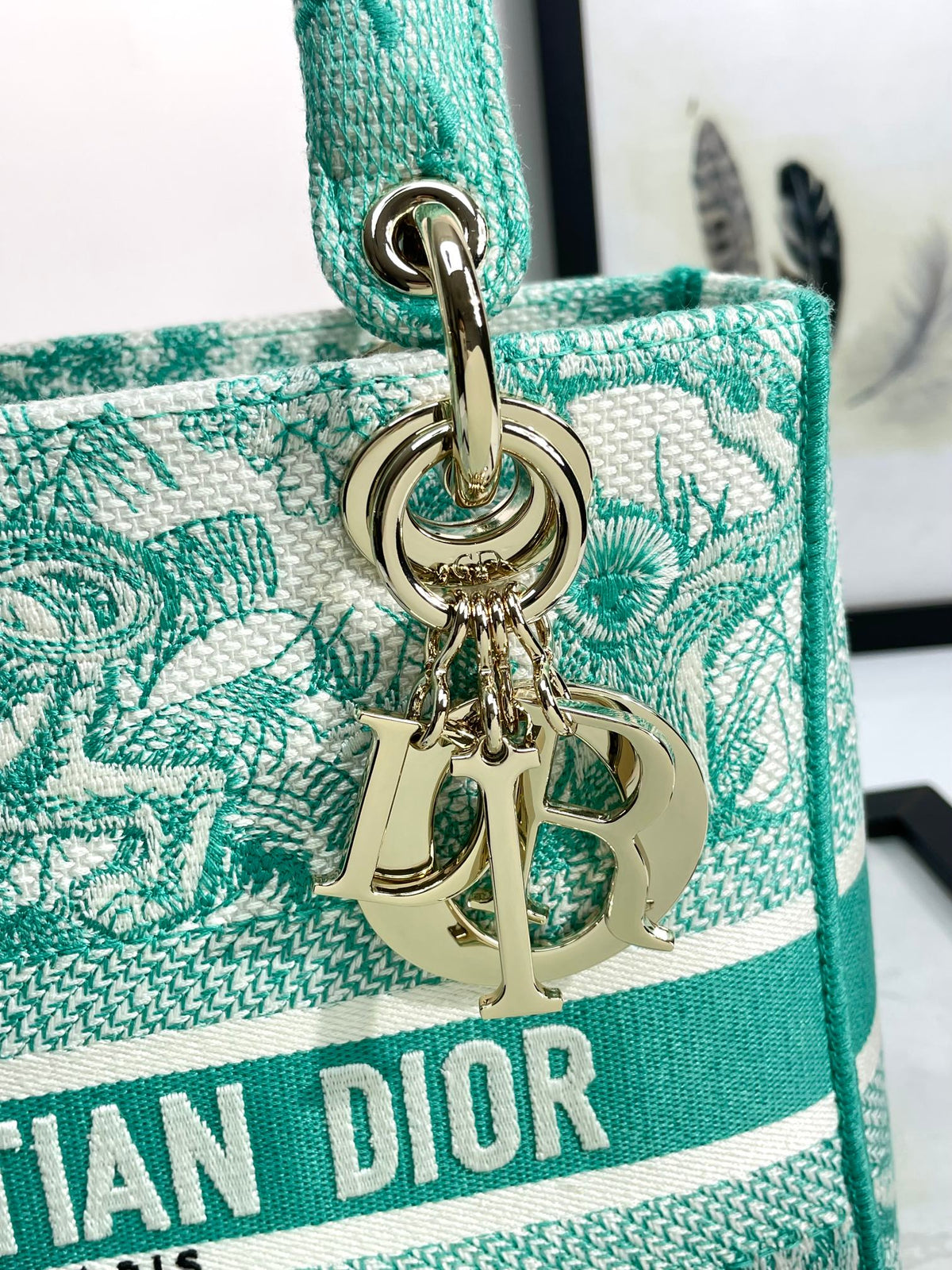 Christian Dior Lady D-Lite Bag - Green Toile de Jouy Embroidery Medium Handbag