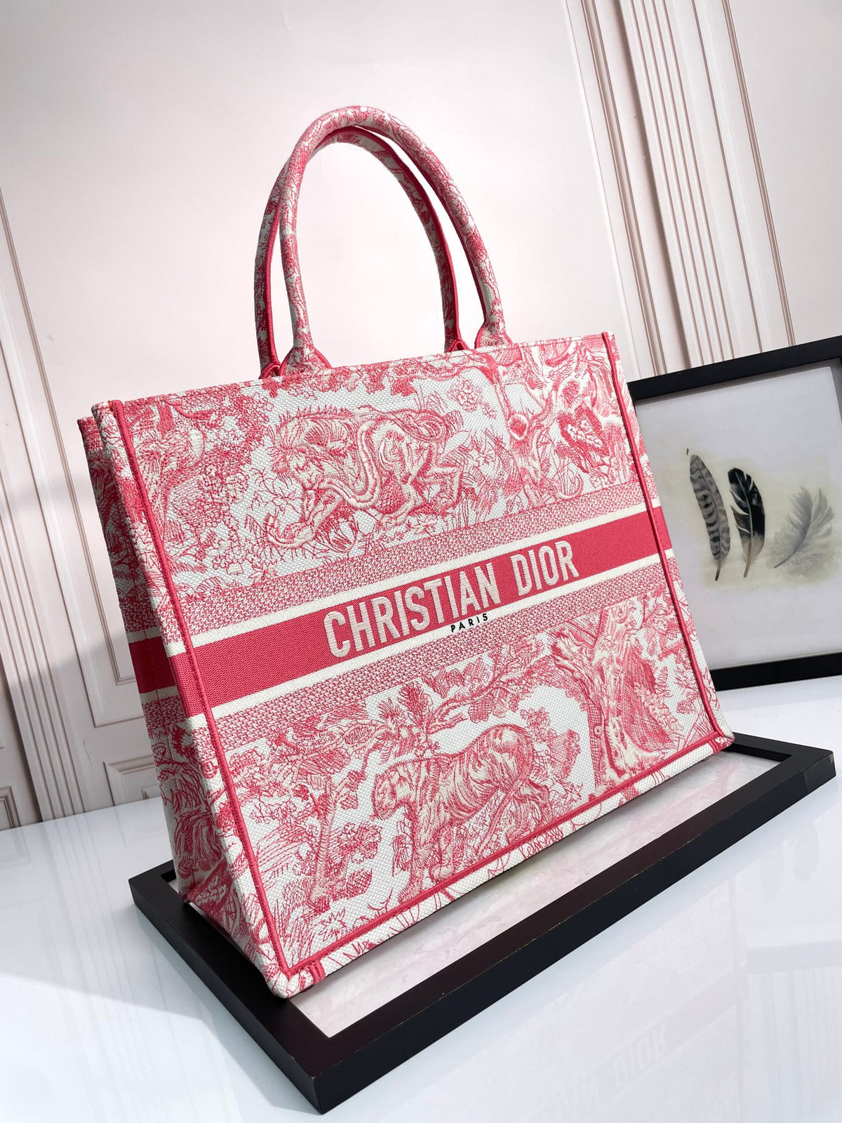 Christian Dior Large Book Tote Red Toile de Jouy Embroidery