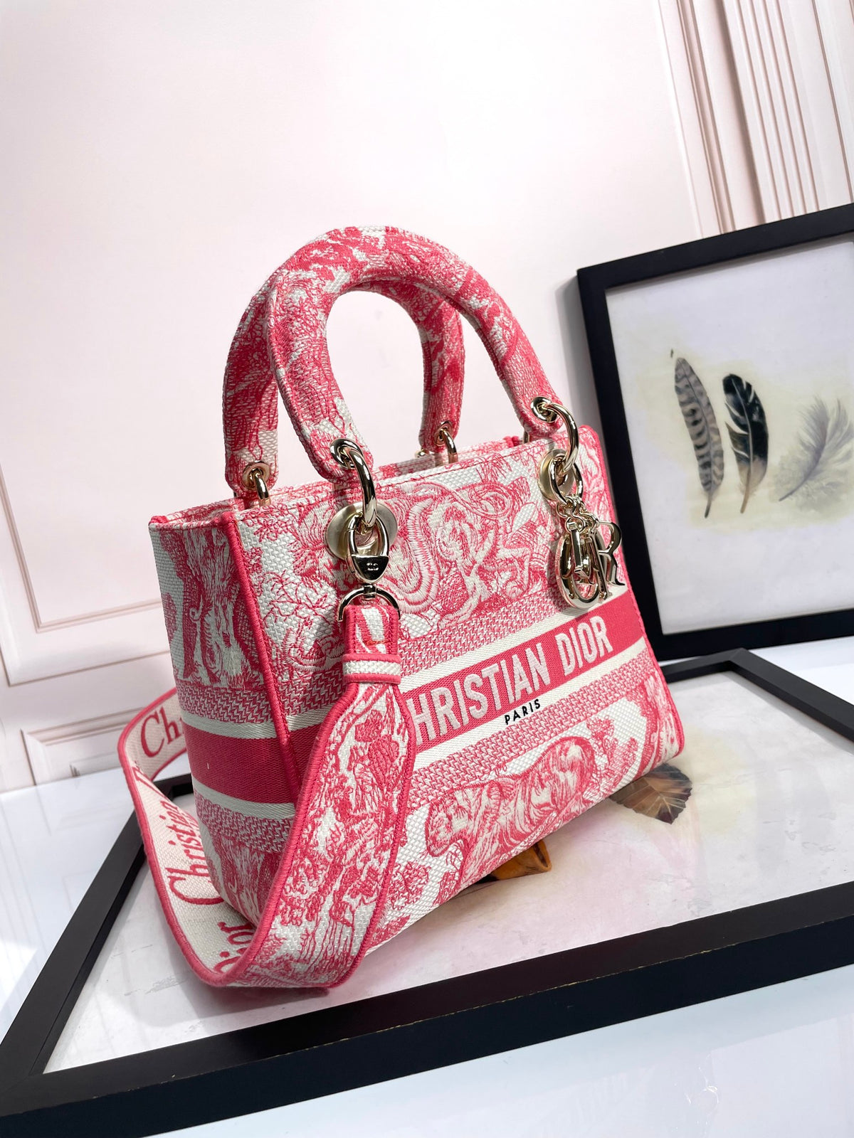 Christian Dior Lady D-Lite Bag Pink Toile de Jouy Embroidery