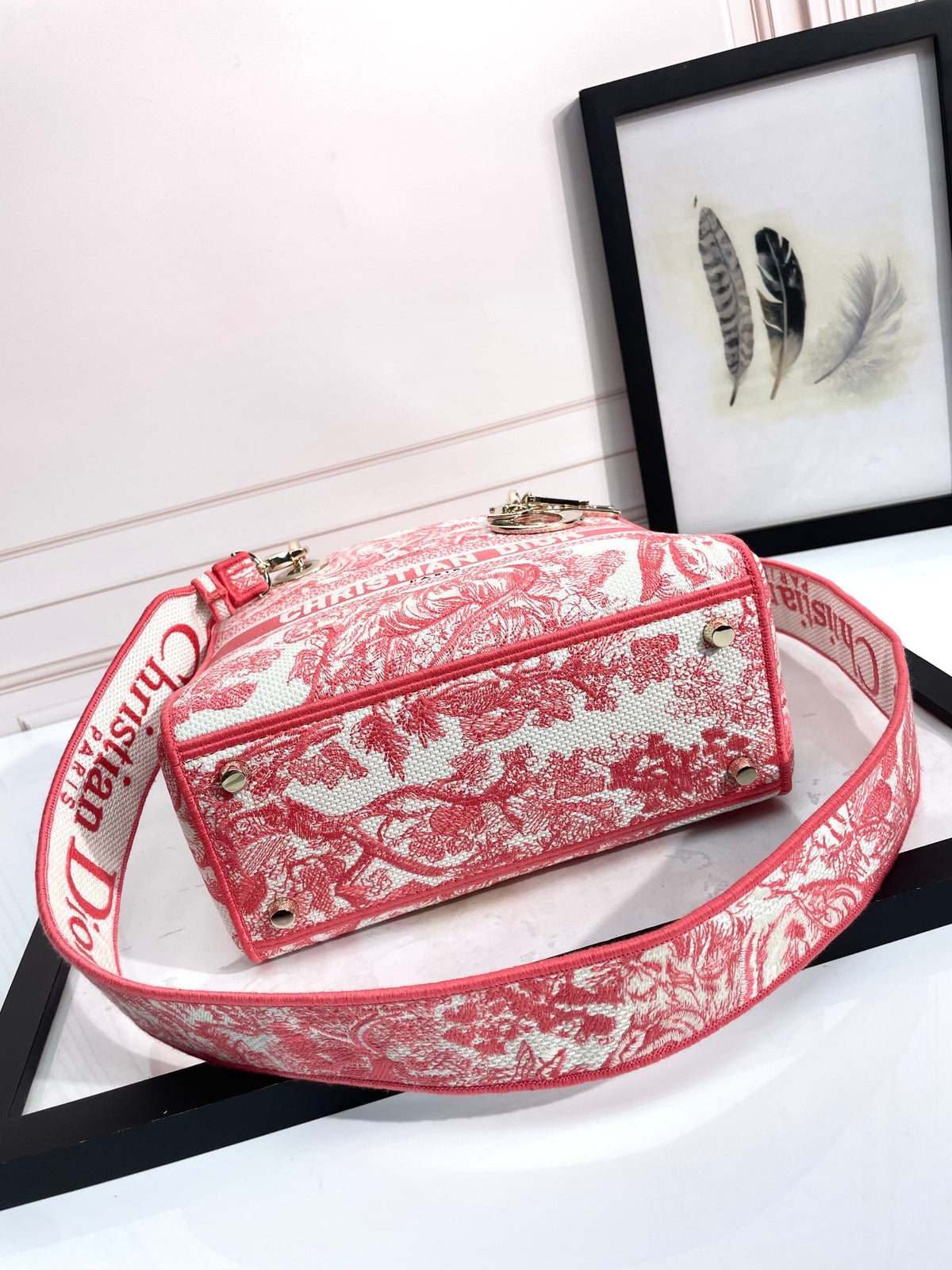 Christian Dior Lady D-Lite Bag Pink Toile de Jouy Embroidery