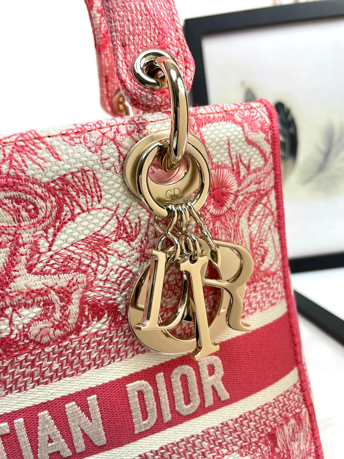 Christian Dior Lady D-Lite Bag Pink Toile de Jouy Embroidery