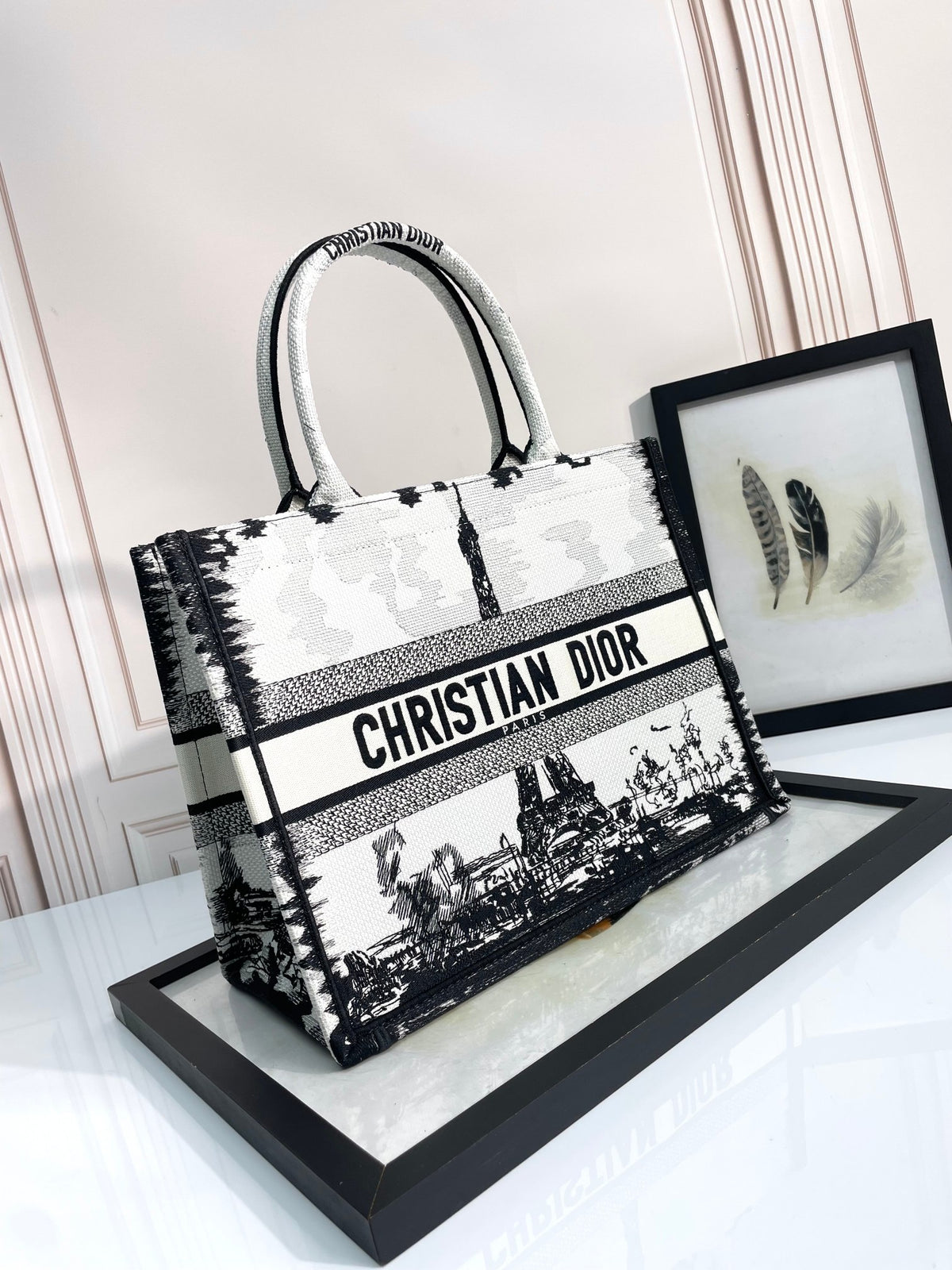 Christian Dior Medium Book Tote Bag with Black and White Plan de Paris Embroidery
