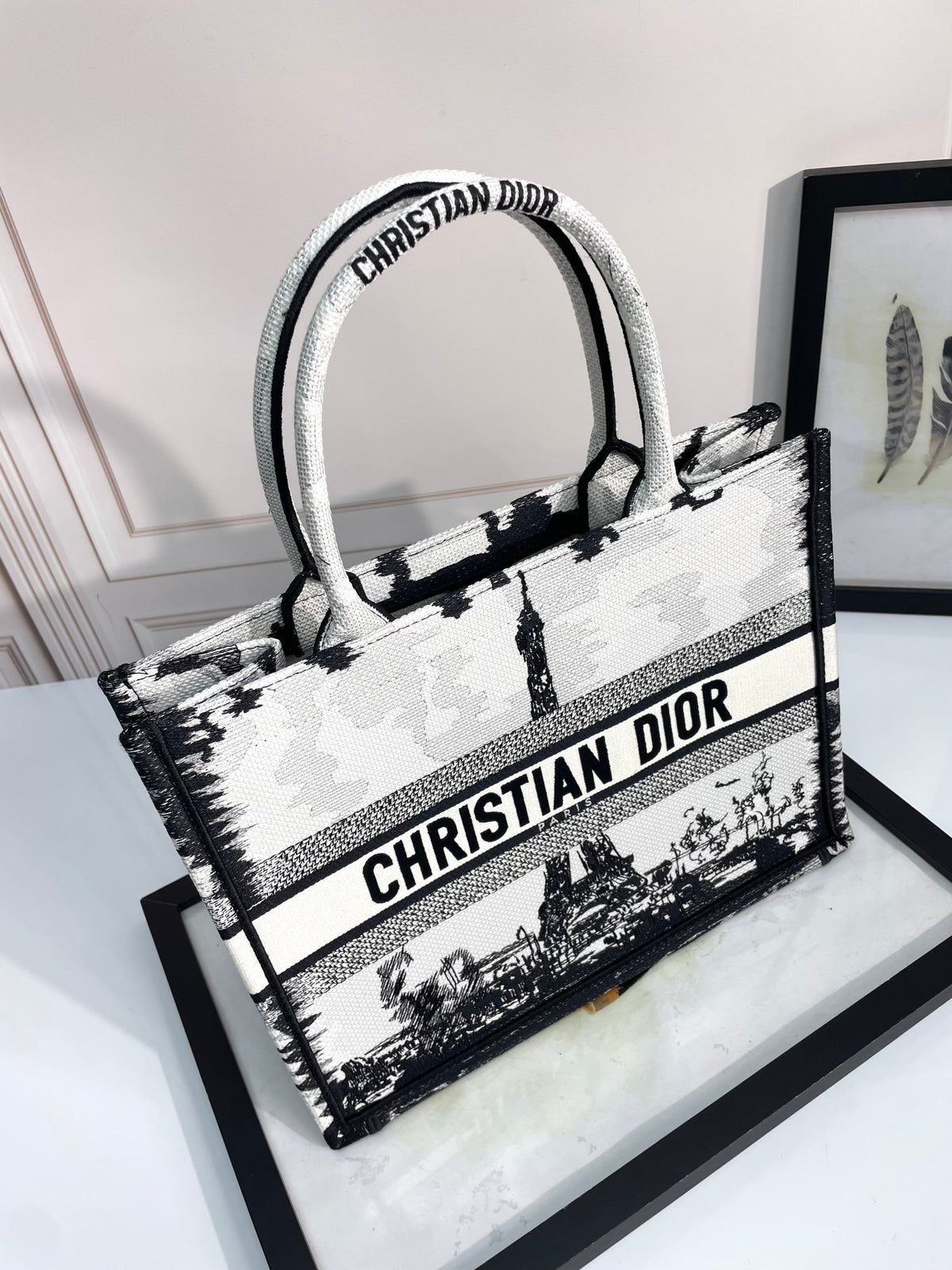 Christian Dior Medium Book Tote Bag with Black and White Plan de Paris Embroidery