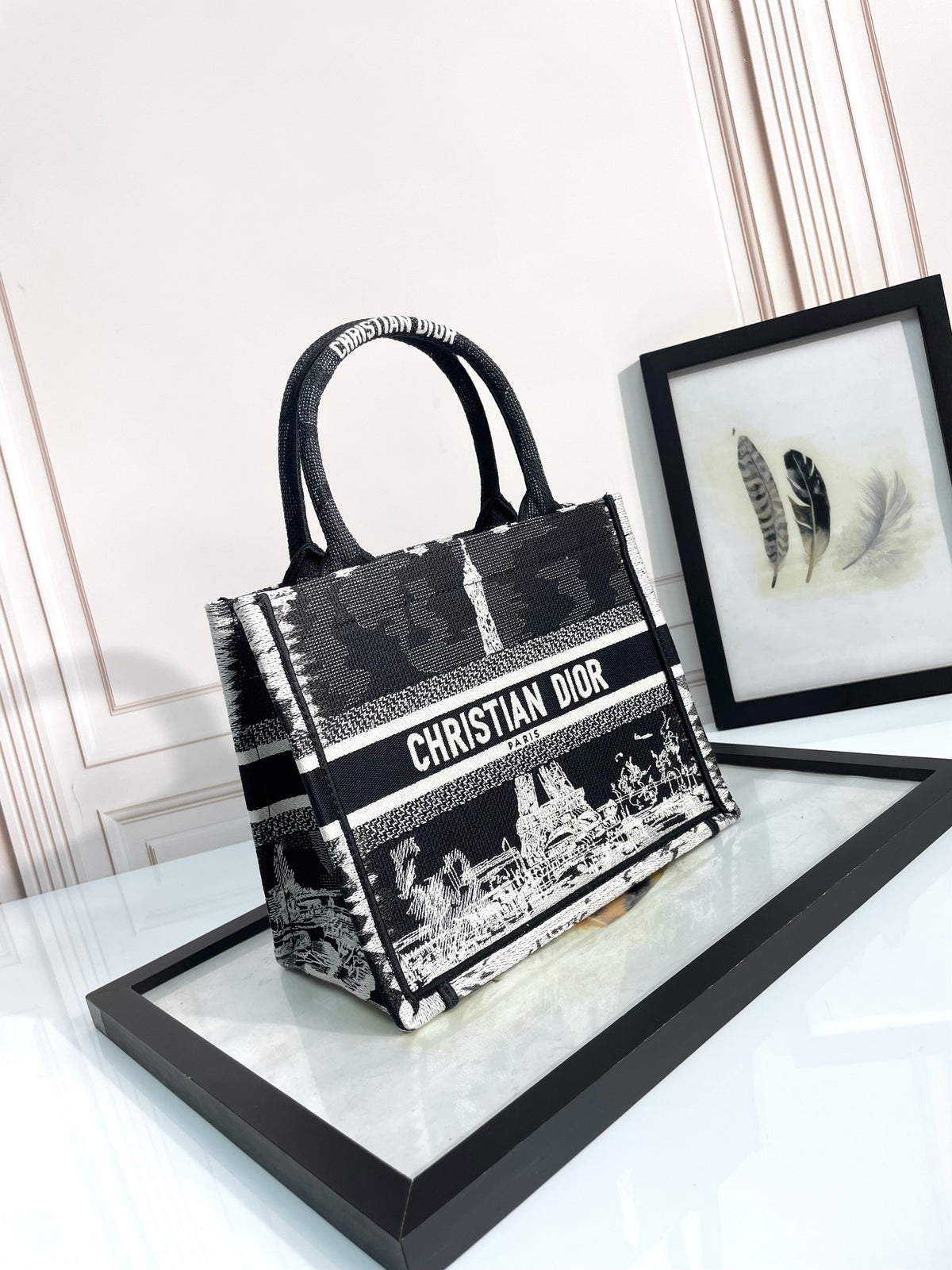 Christian Dior Medium Book Tote Bag - Black and White Plan de Paris Embroidery