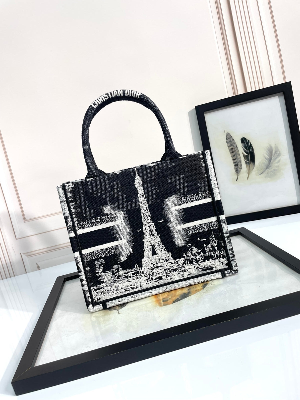 Christian Dior Small Book Tote Bag - Black and White Plan de Paris Embroidery