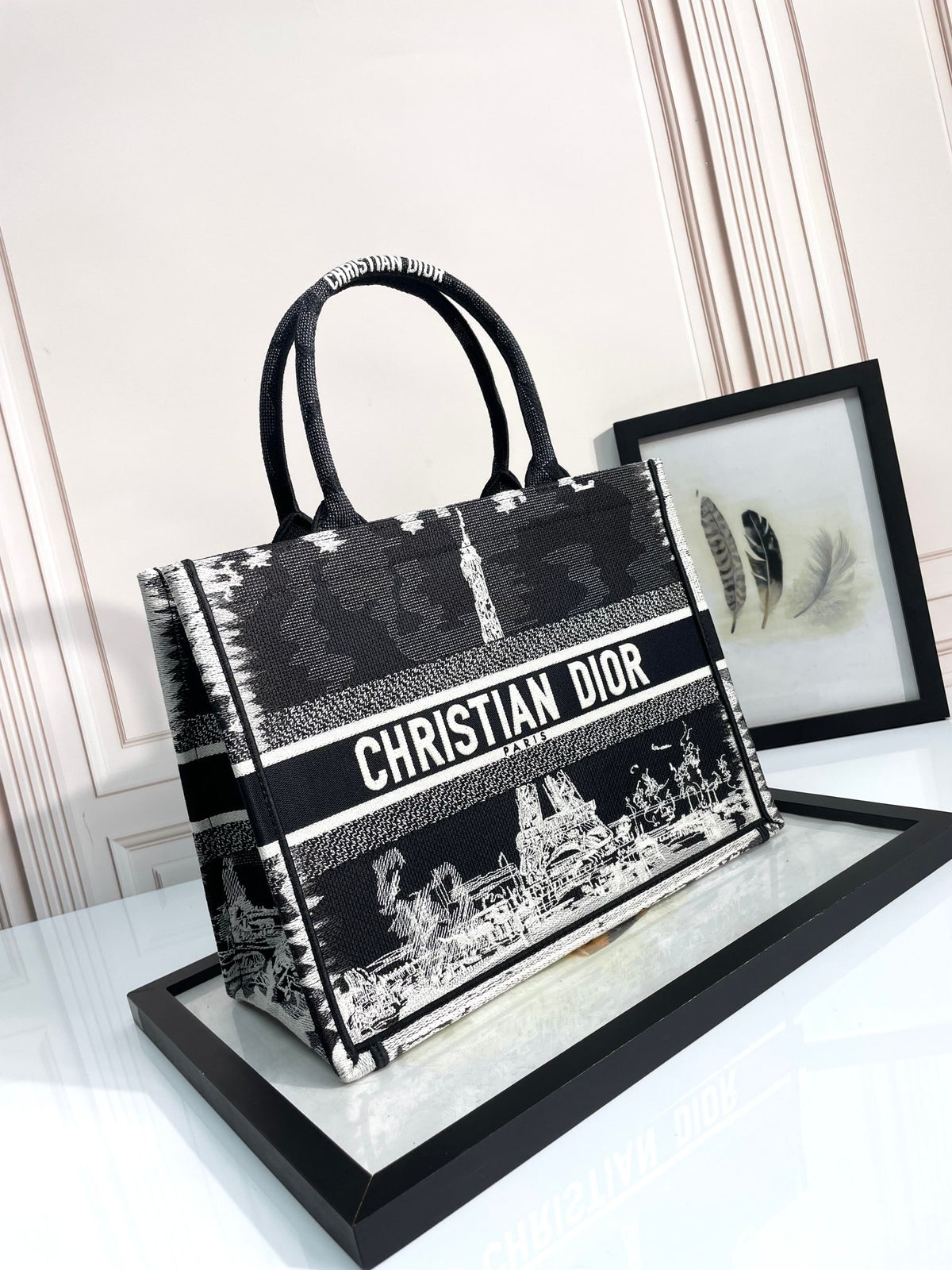 Christian Dior Book Tote Plan de Paris Bag Black and White Embroidery