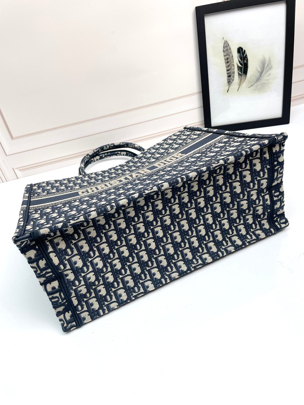 Christian Dior Book Tote Bag - Blue Dior Oblique Embroidery