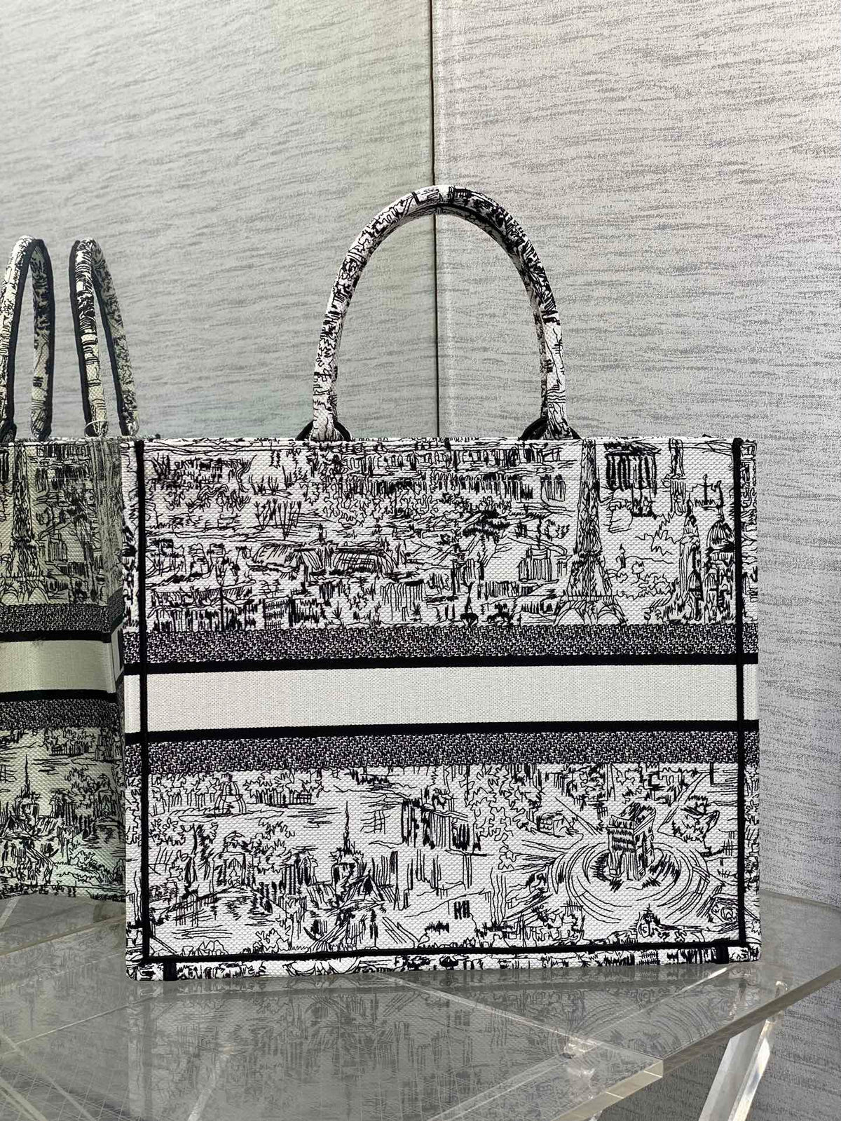 Christian Dior Book Tote Bag - White and Black Plan de Paris Embroidery