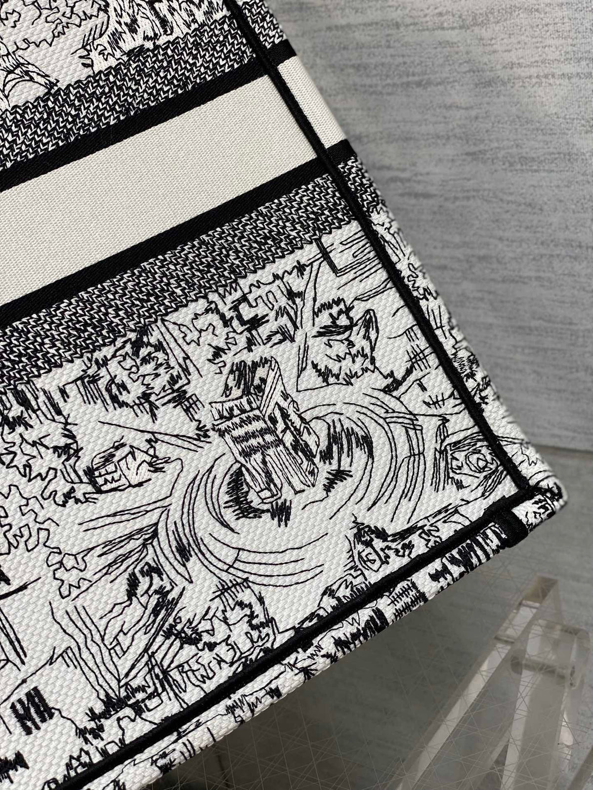 Christian Dior Book Tote Bag - White and Black Plan de Paris Embroidery