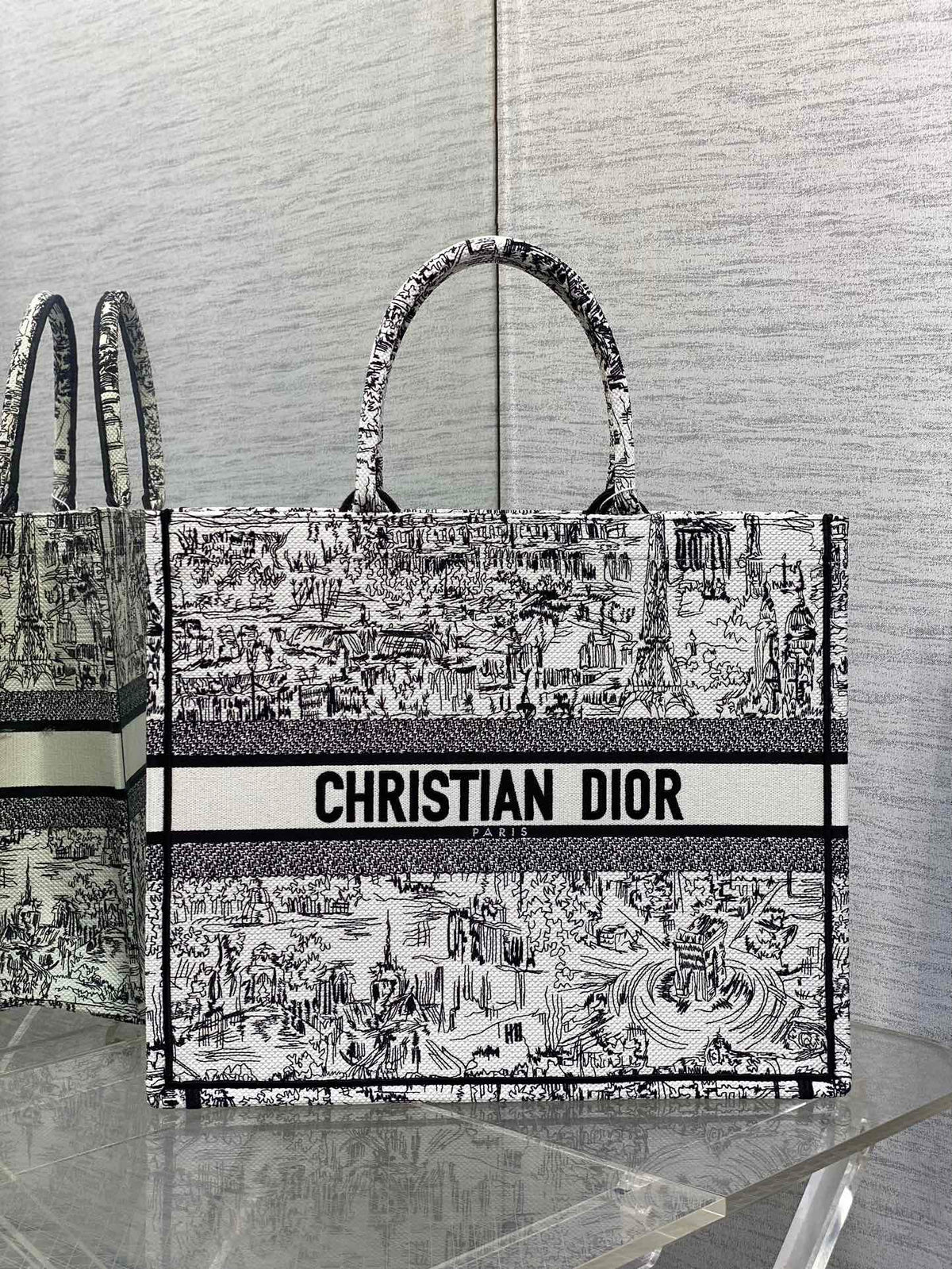 Christian Dior Book Tote Bag - White and Black Plan de Paris Embroidery