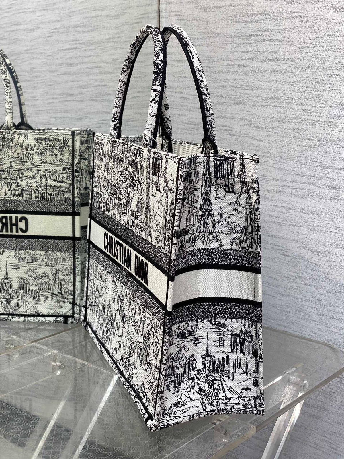 Christian Dior Book Tote Black and White Landscape Embroidery Handbag